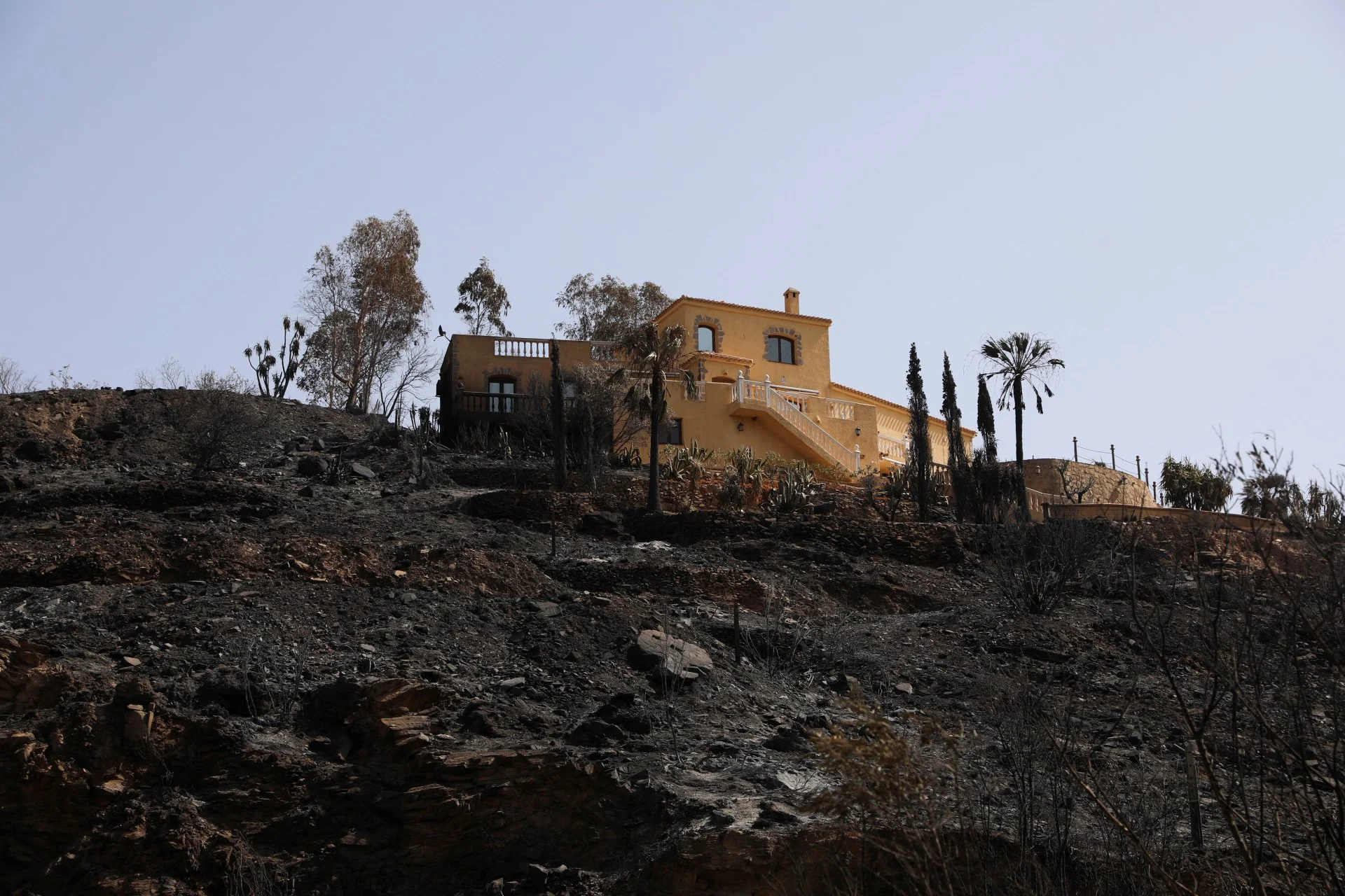 Ισπανία: Στάχτη 66.000 στρέμματα στην Αλμερία