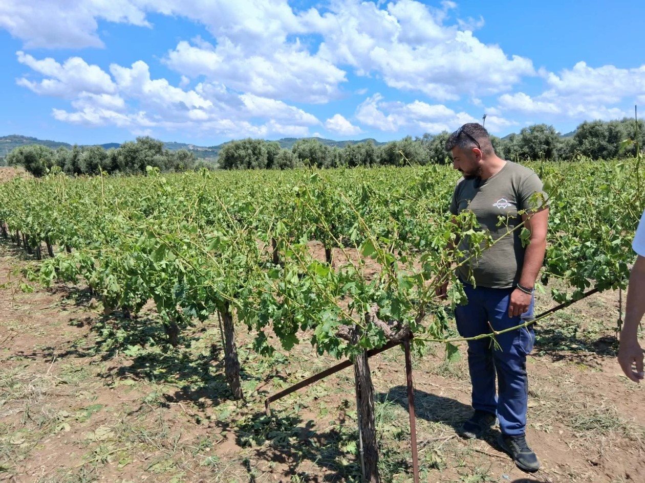 Καταστροφές από χαλάζι στη Θεσσαλία, στο 100% αποζημιώσεις και άμεσα