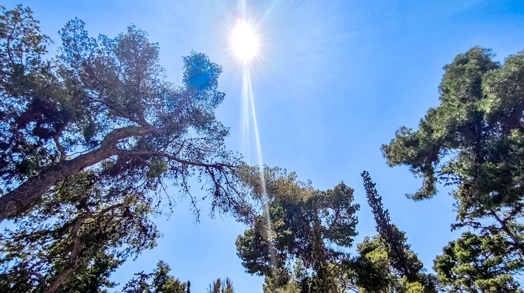 Αίθριος καιρός με αμετάβλητη θερμοκρασία έως 38 βαθμούς