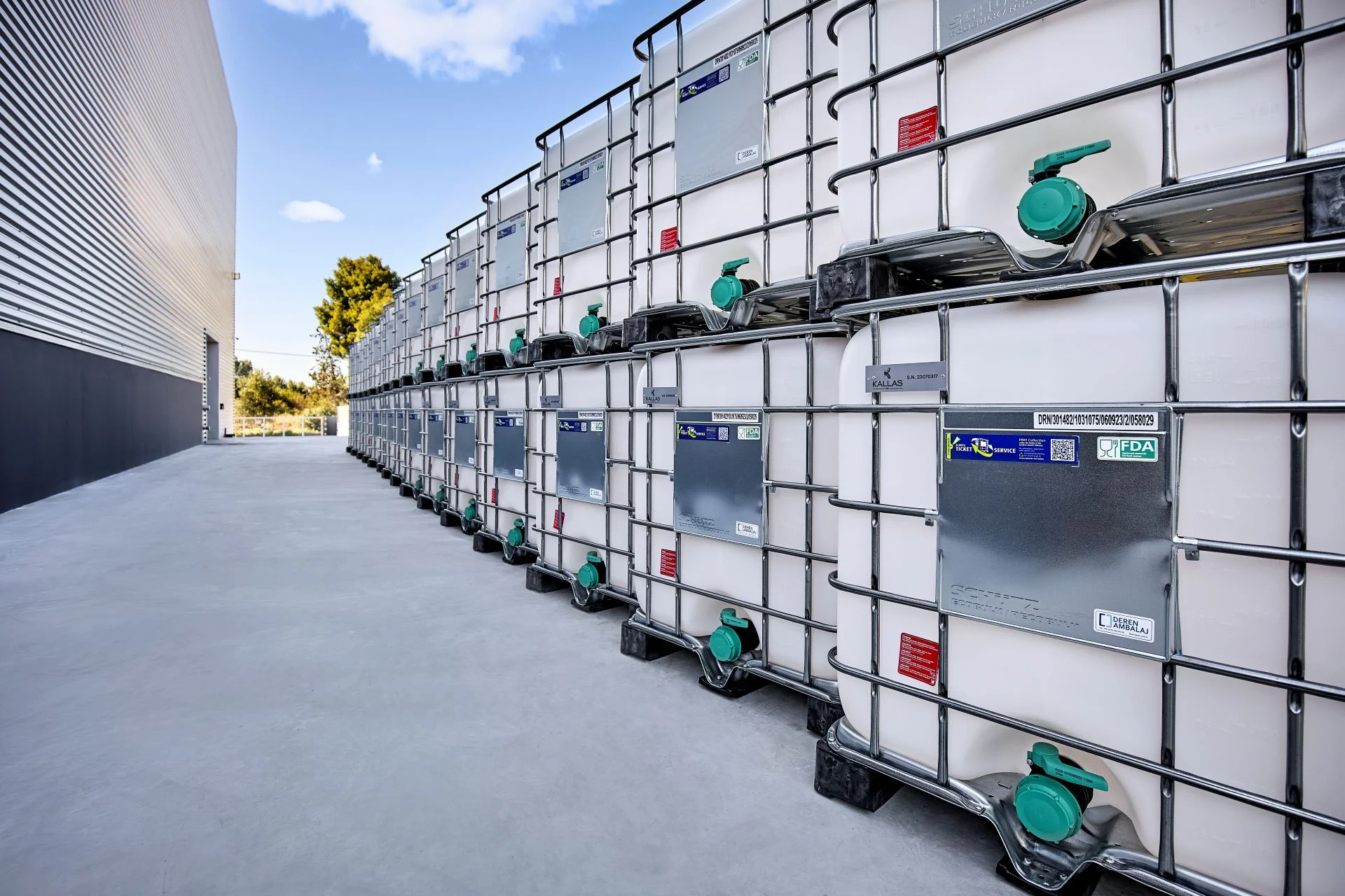 Kallas Inc targets continued growth momentum in 2026