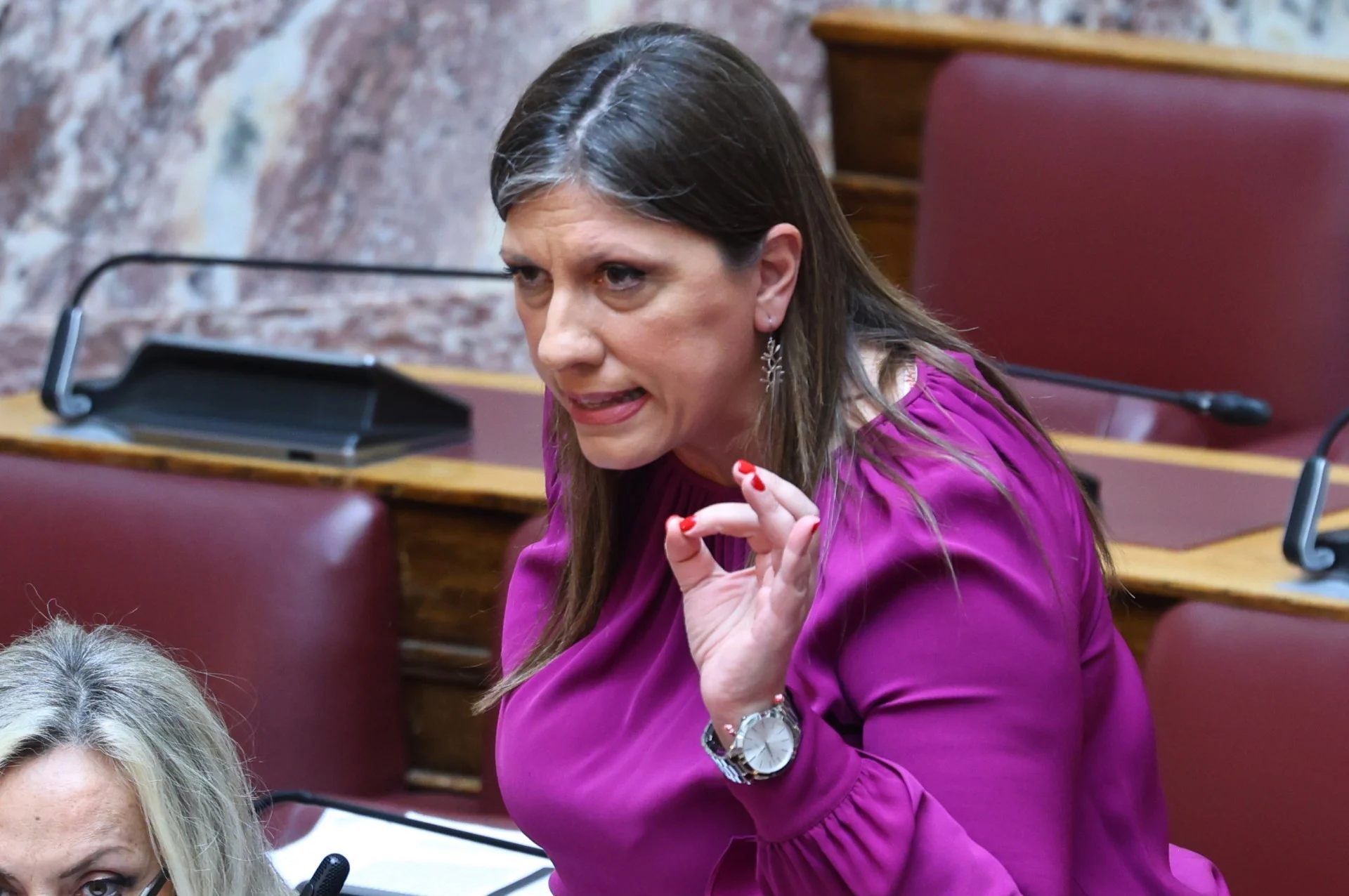 Σκηνικό πρωτοφανούς έντασης από την Ζ. Κωνσταντοπούλου - Κάλεσε την αστυνομία