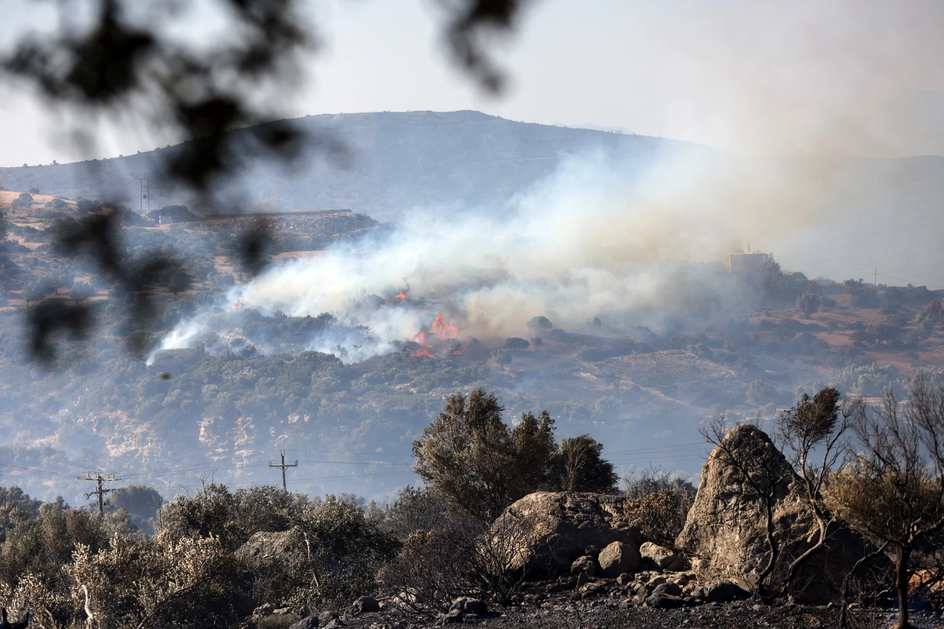 Σύλληψη στελέχους του ΔΕΔΔΗΕ για τη φονική πυρκαγιά – Στο μικροσκόπιο σπινθήρες από καλώδια μέσης τάσης