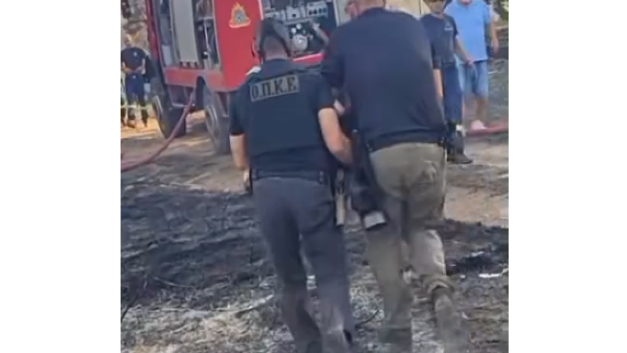Ωραιόκαστρο: Συγκινεί η διάσωση ενός τραυματισμένου σκύλου από τη φωτιά