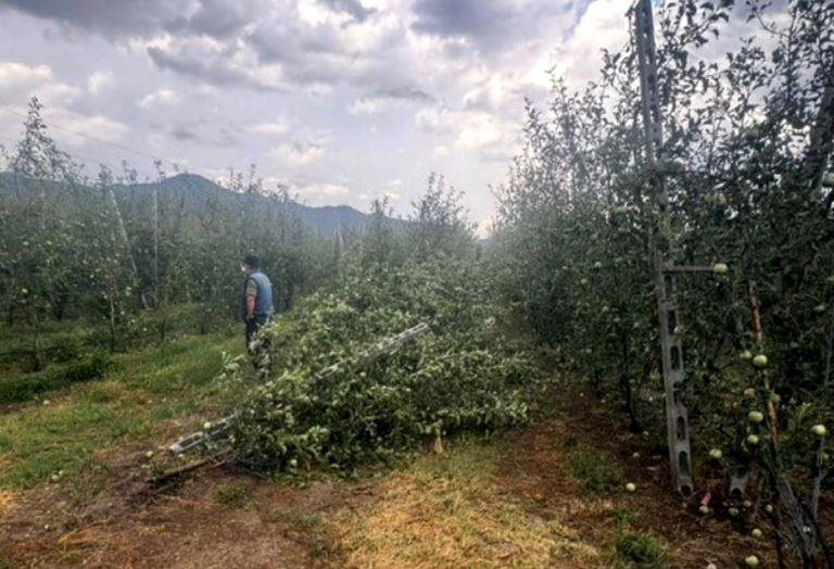 Άμεση κινητοποίηση ΕΛΓΑ για τις ζημιές στα Ριζώματα ζητά ο Αγροτικός Σύλλογος «Πιερίων» Ημαθίας