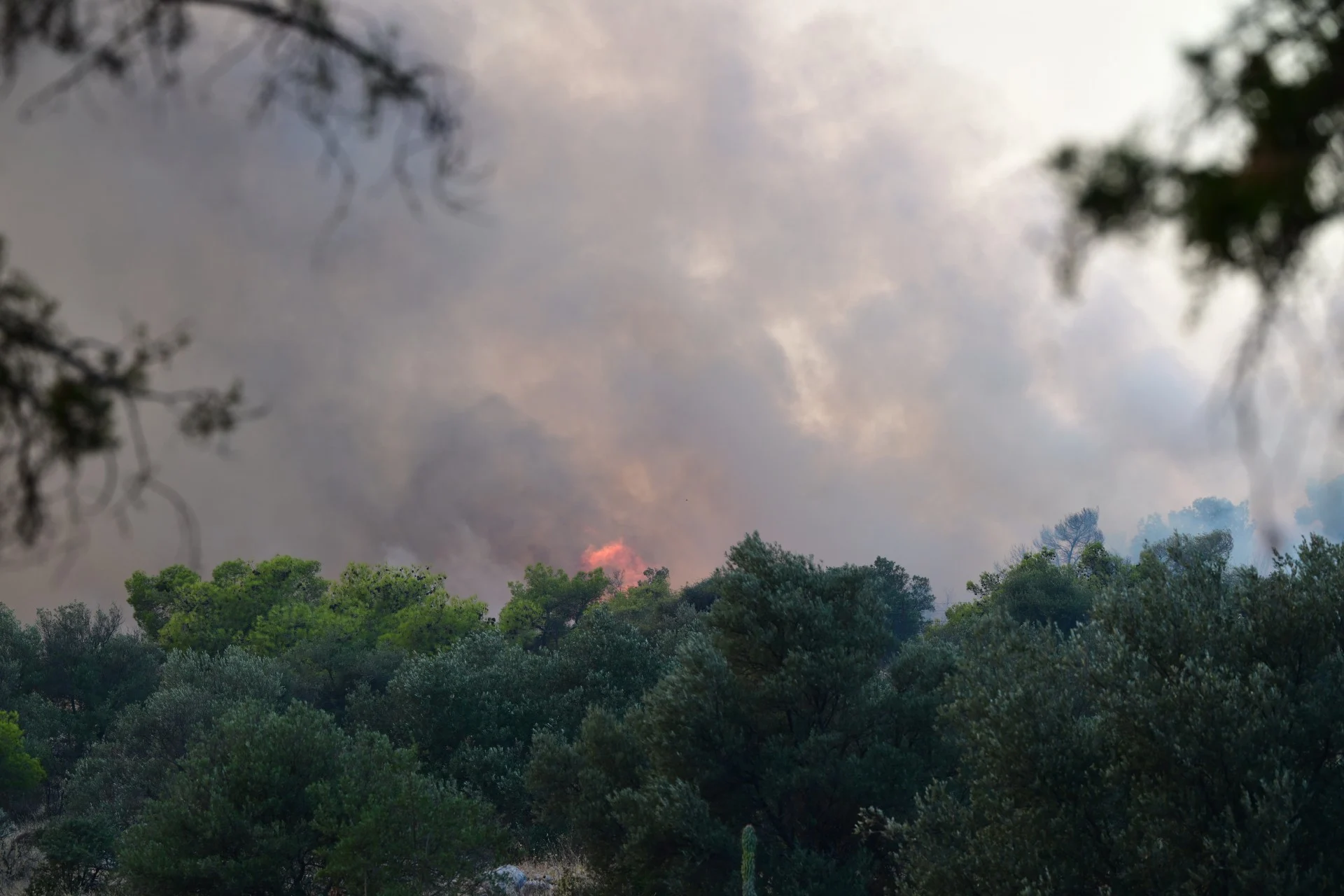 Φωτιά στο Ποικίλο Όρος: Σε ετοιμότητα για εκκένωση το ψυχιατρικό νοσοκομείο στο Δαφνί
