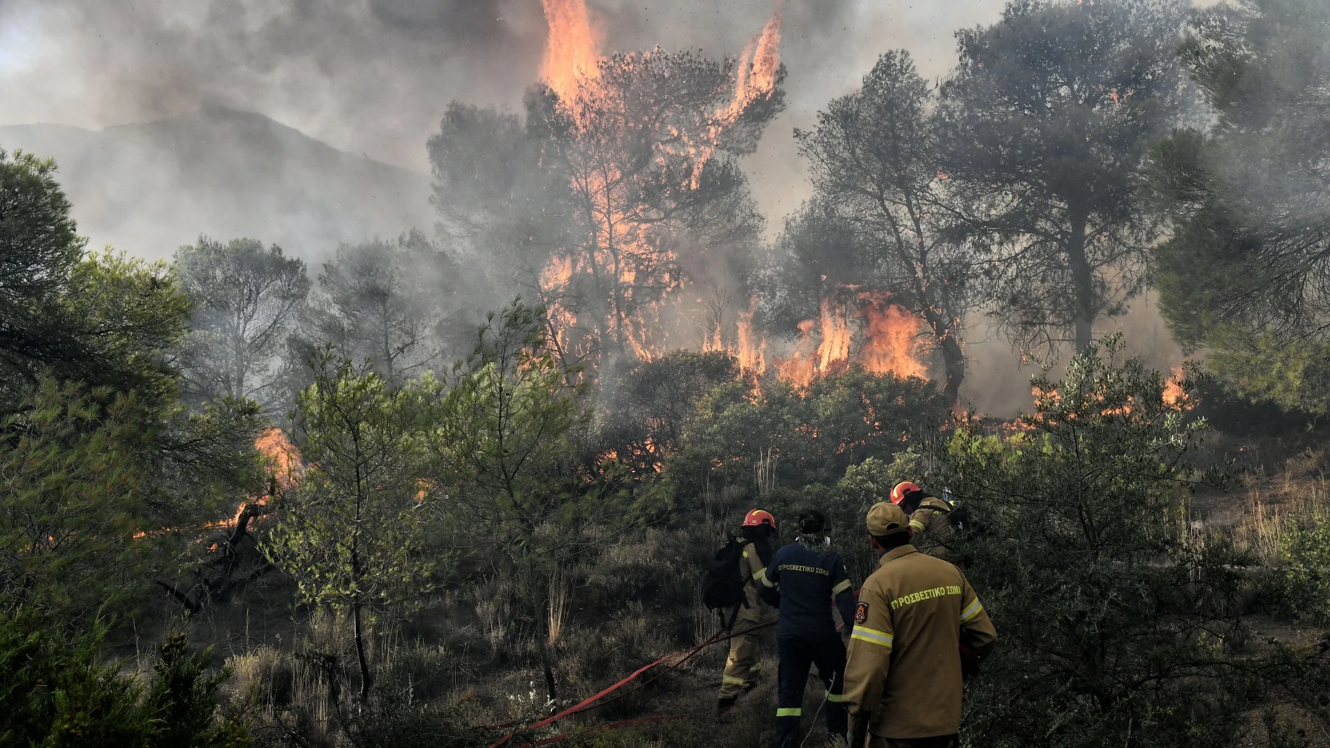 Πολύ υψηλός κίνδυνος πυρκαγιάς σε έξι περιφέρειες την Κυριακή