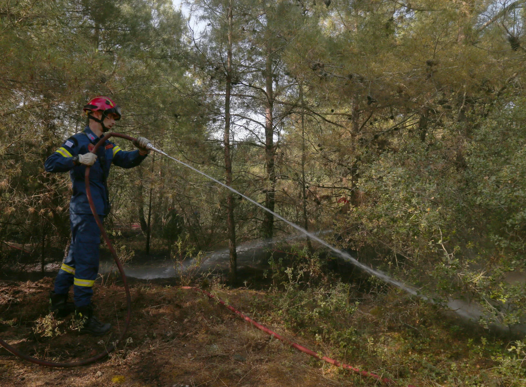 Απαγόρευση κυκλοφορίας αύριο σε Σέιχ Σου και άλλες δασικές εκτάσεις