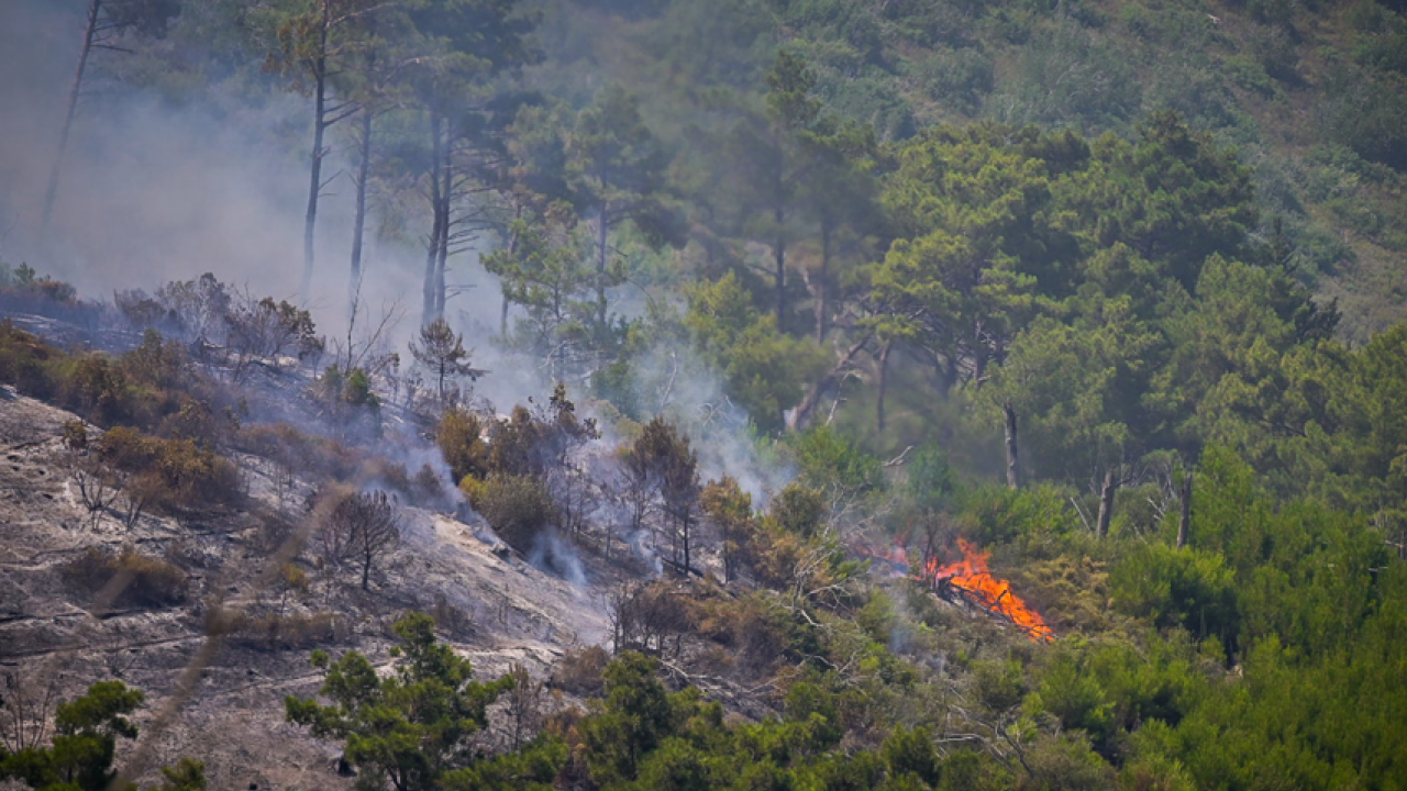 Φωτιά σε δάσος στη θέση «Προφήτης Ηλίας» στο όρος Καρβούνη στη Σάμο