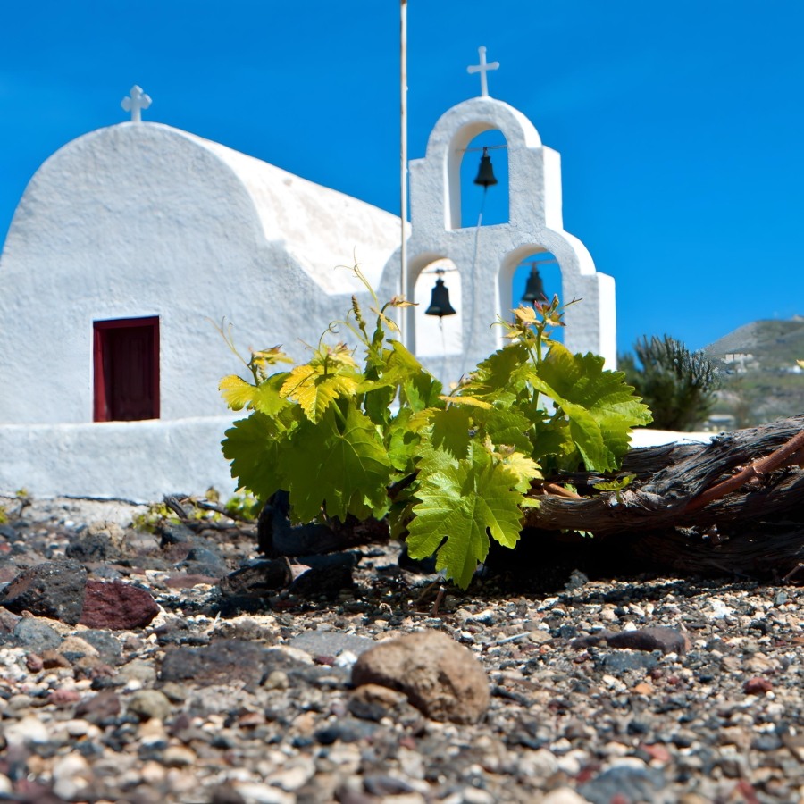 Να παραμείνει δεσμευτική η χρηματοδότηση των τομεακών οίνου της ΚΑΠ ζητά η ΚΕΟΣΟΕ