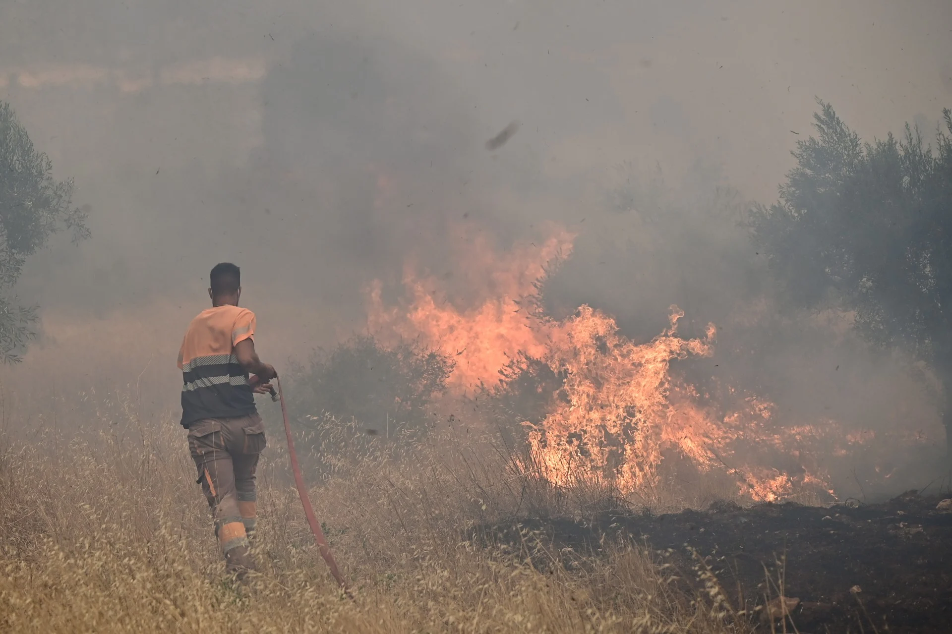 Ακραίας έντασης το μελτέμι. Πάρα πολύ δύσκολο ανεμολογικό πεδίο με εμμονή μέχρι αύριο το μεσημέρι