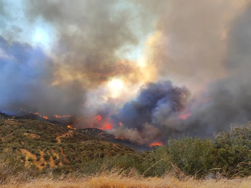 Από 27/7 οι αιτήσεις για τη β΄ φάση του ειδικού σχήματος στήριξης για τις πυρκαγιές 2025