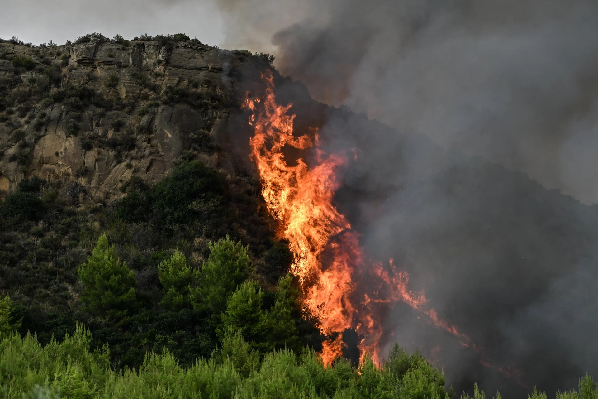 Οριοθετήθηκε άμεσα φωτιά στη θέση Λειβαδάκι, στην Αταλάντη