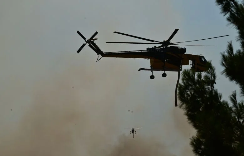 Βελτιωμένη η εικόνα της πυρκαγιάς στον Άγιο Βλάσιο Βοιωτίας – Χωρίς ενεργό μέτωπο η φωτιά στη Στεφάνη