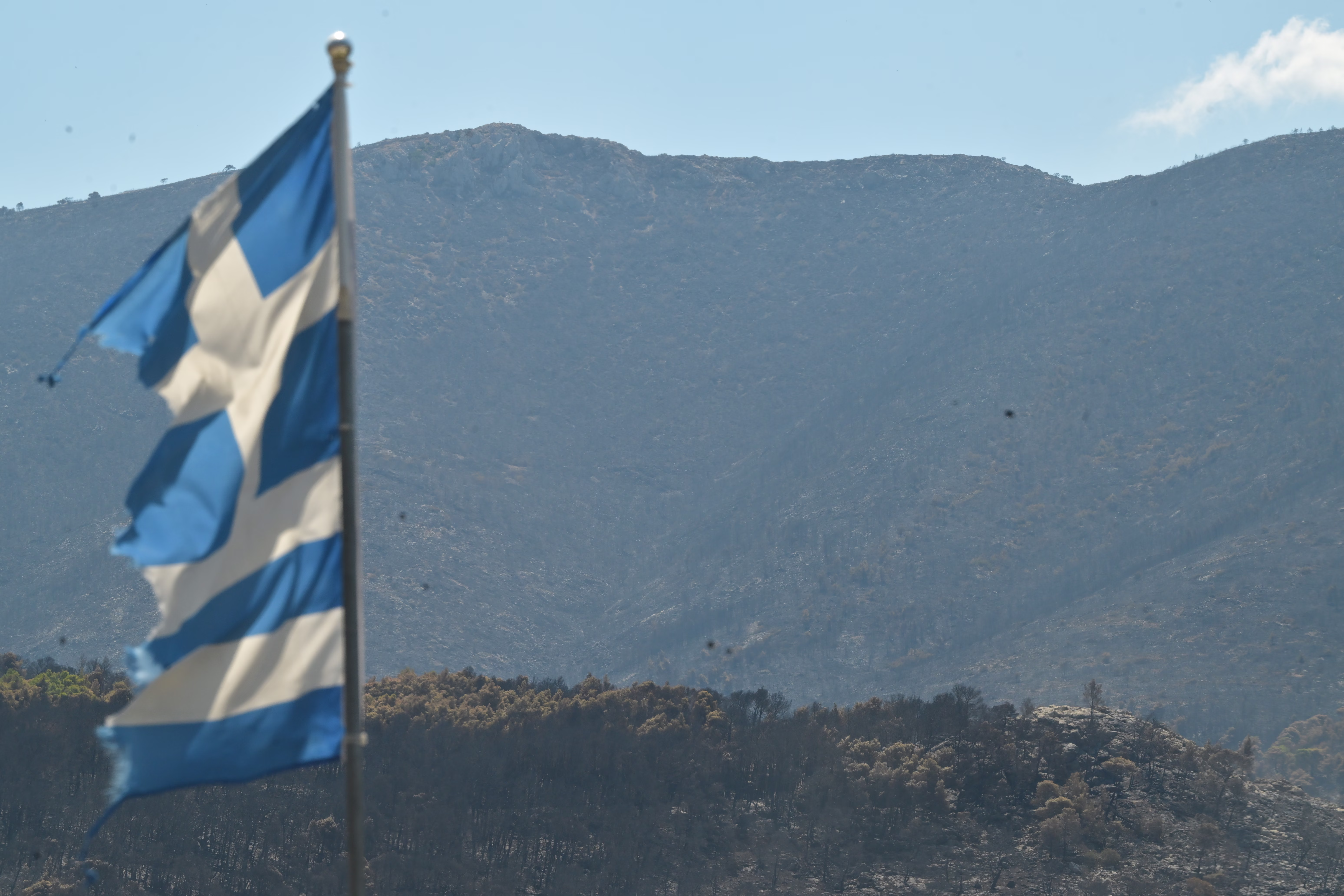 Η ΕΛΑΣ ζητά ανεξάρτητη αξιολόγηση για την αποτελεσματικότητά του AntiNero