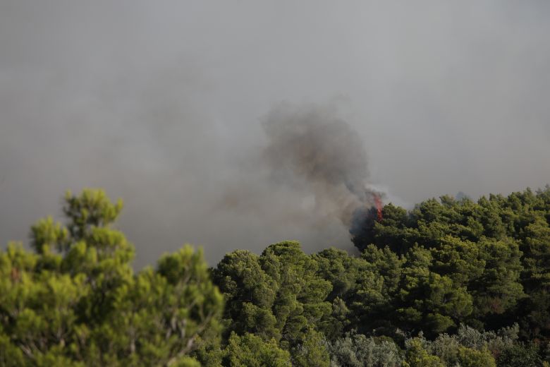 Ενισχύθηκαν οι πυροσβεστικές δυνάμεις που επιχειρούν στις Νεραντζιές – News.gr
