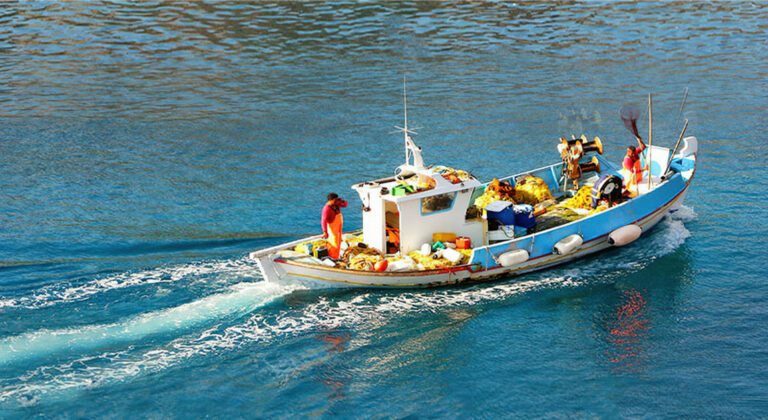 Σε διαβούλευση νομοσχέδιο ΥΠΑΑΤ για αλιεία, ΜΑΑΕ, επιζωοτίες