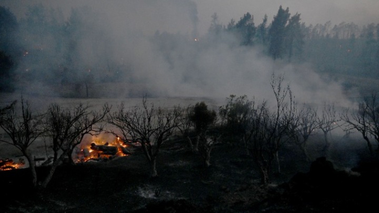 Χαλκιδική: Ολονύχτια μάχη με διάσπαρτες εστίες και αναζωπυρώσεις