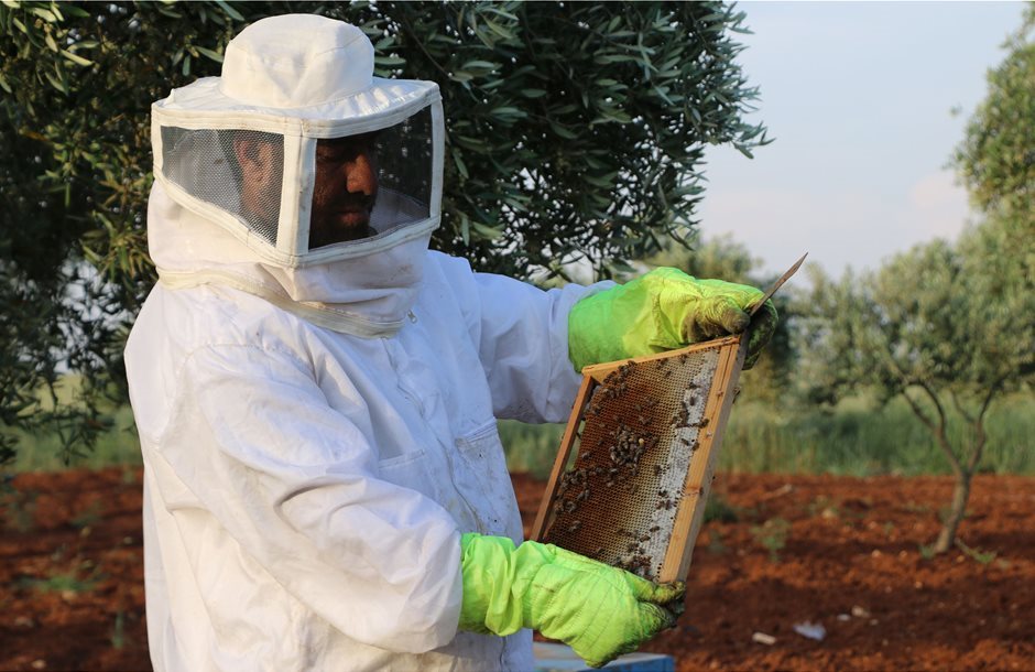 Έρχεται νέα πλατφόρμα ιχνηλασιμότητας για το μέλι, πρόστιμα έως 10.000 ευρώ για παράλειψη ενημέρωσης
