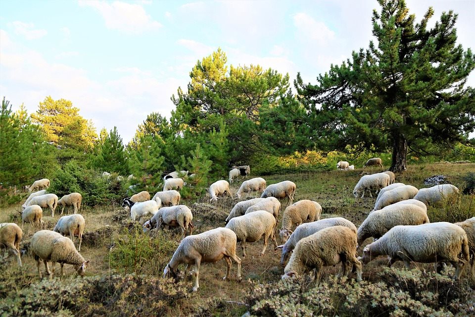 Στη Διαύγεια η πρόσκληση για την εξισωτική, μαζί με το ΟΣΔΕ οι αιτήσεις, πάνω από 236 εκατ. η δημόσια δαπάνη