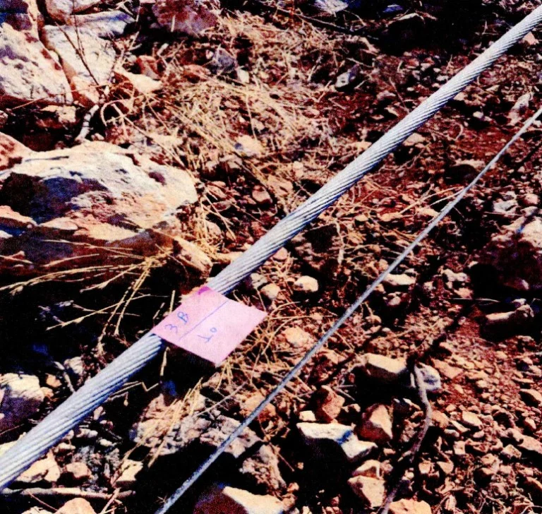 Από βραχυκύκλωμα η πυρκαγιά στη Βοιωτία