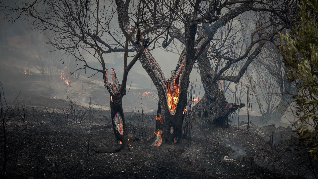 Πυροσβεστική: Συλλήψεις τριών ατόμων για τις πυρκαγιές σε Λέσβο και Κορινθία