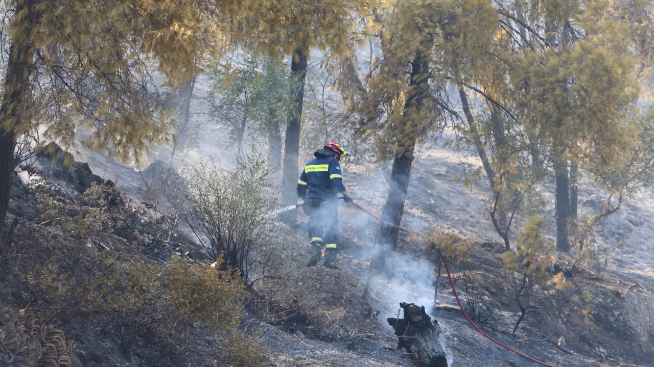 Δύο συλλήψεις σε Τρίκαλα και Κάρυστο για εμπρησμό από πρόθεση και για πυρκαγιά από αμέλεια