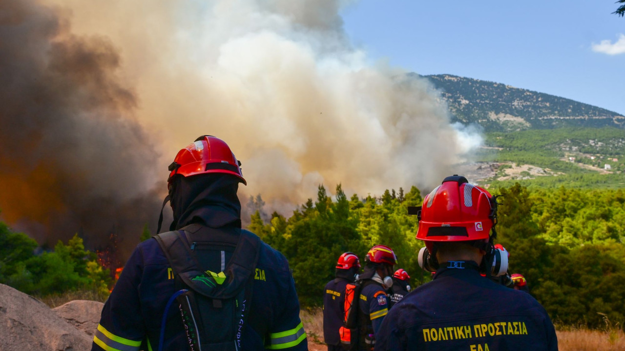 Πυρκαγιά σε Αττική και Βοιωτία: Πώς έγινε η επιχείρηση διάσωσης - Απομακρύνσεις και δια θαλάσσης