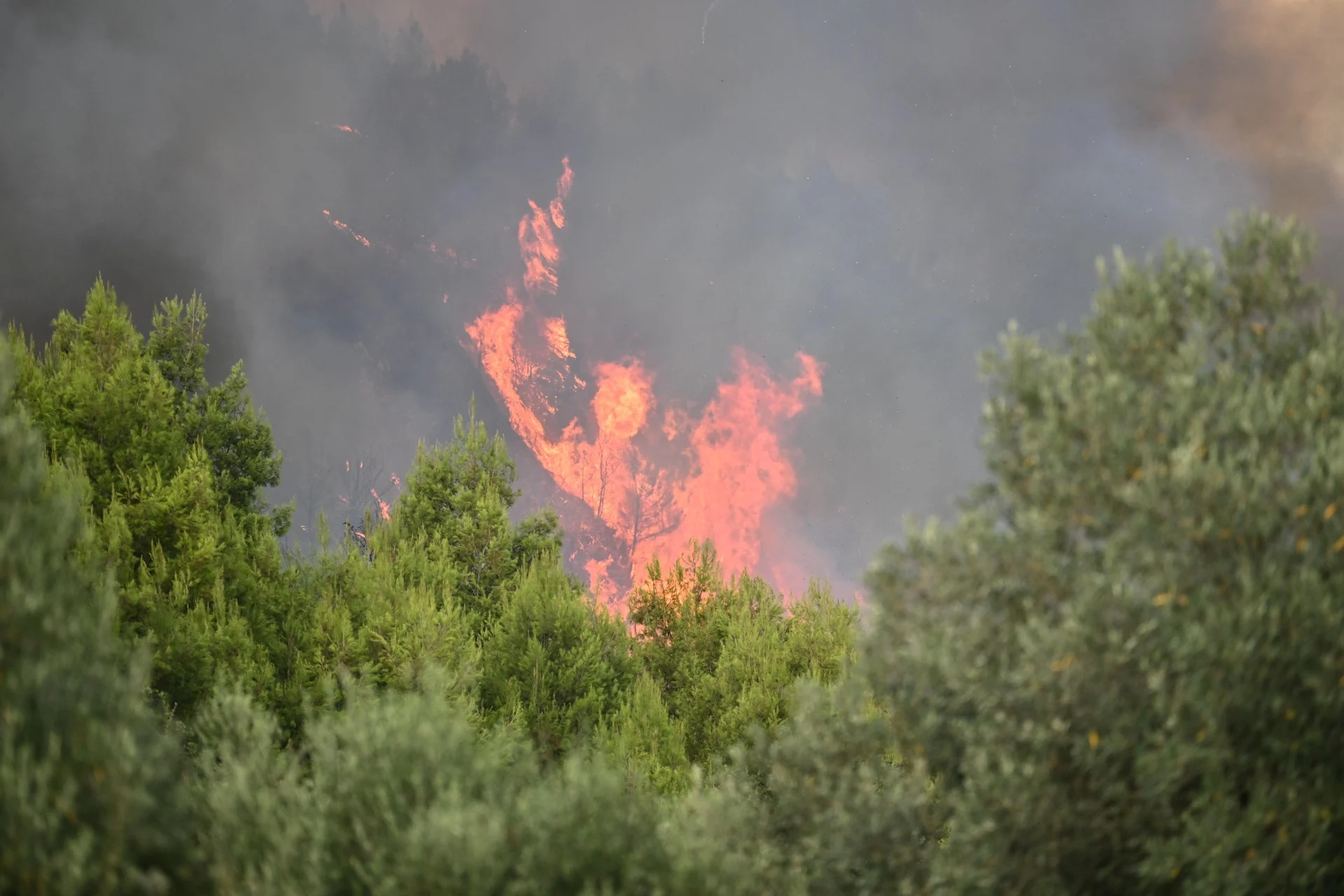 Έξι συλλήψεις σε Ηλεία, Έβρο, Αττική, Χίο, Θεσπρωτία και Φωκίδα για πρόκληση πυρκαγιών