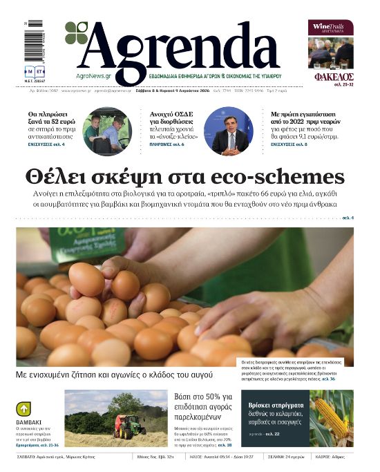 Κάτι αχνοφέγγει στο σκληρό σιτάρι, ευνοούν την άνοδο πολλοί παράγοντες αγοράς