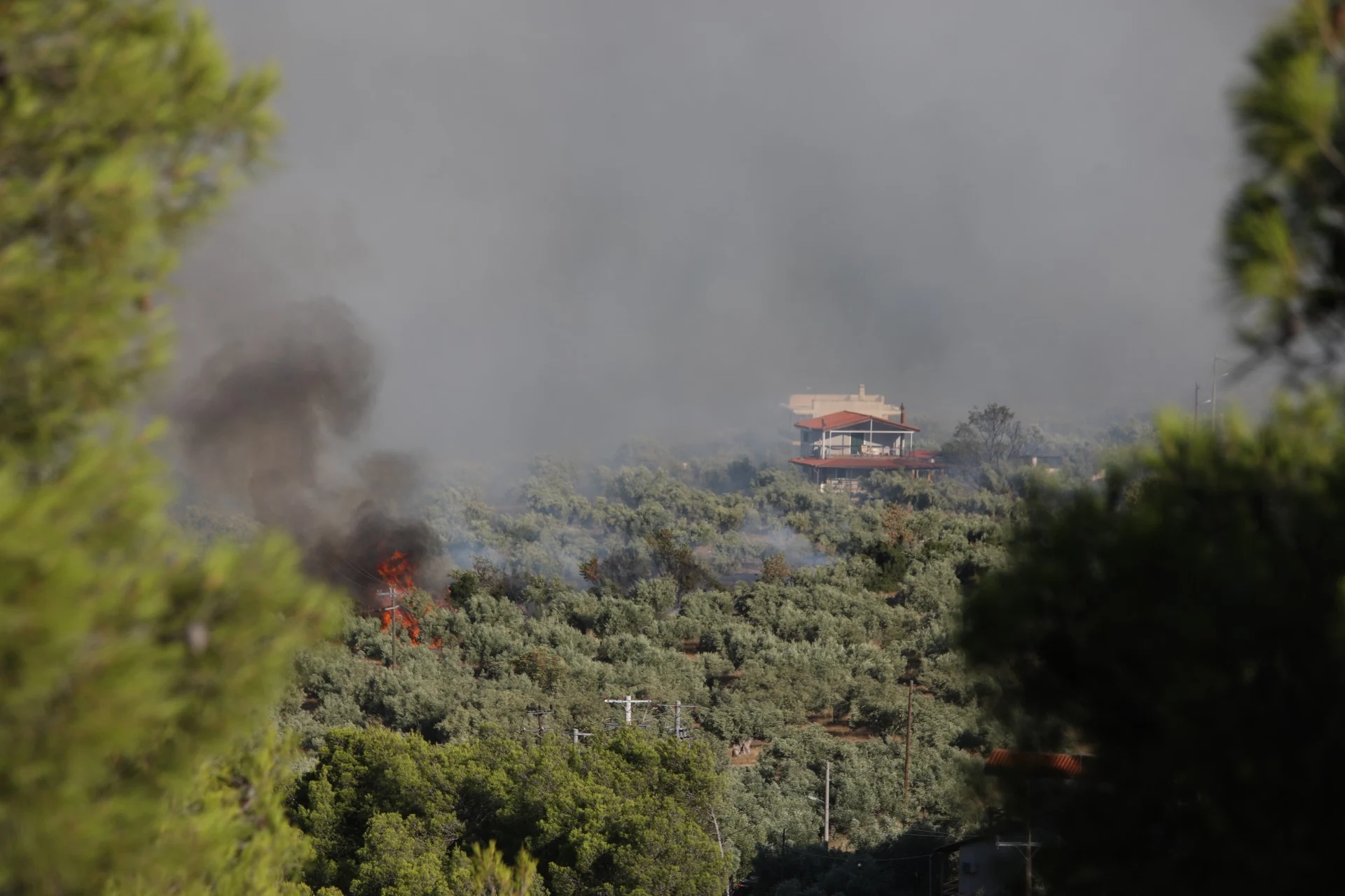 Δύο συλλήψεις για τη μεγάλη πυρκαγιά στη Βοιωτία που επεκτάθηκε στην Αττική
