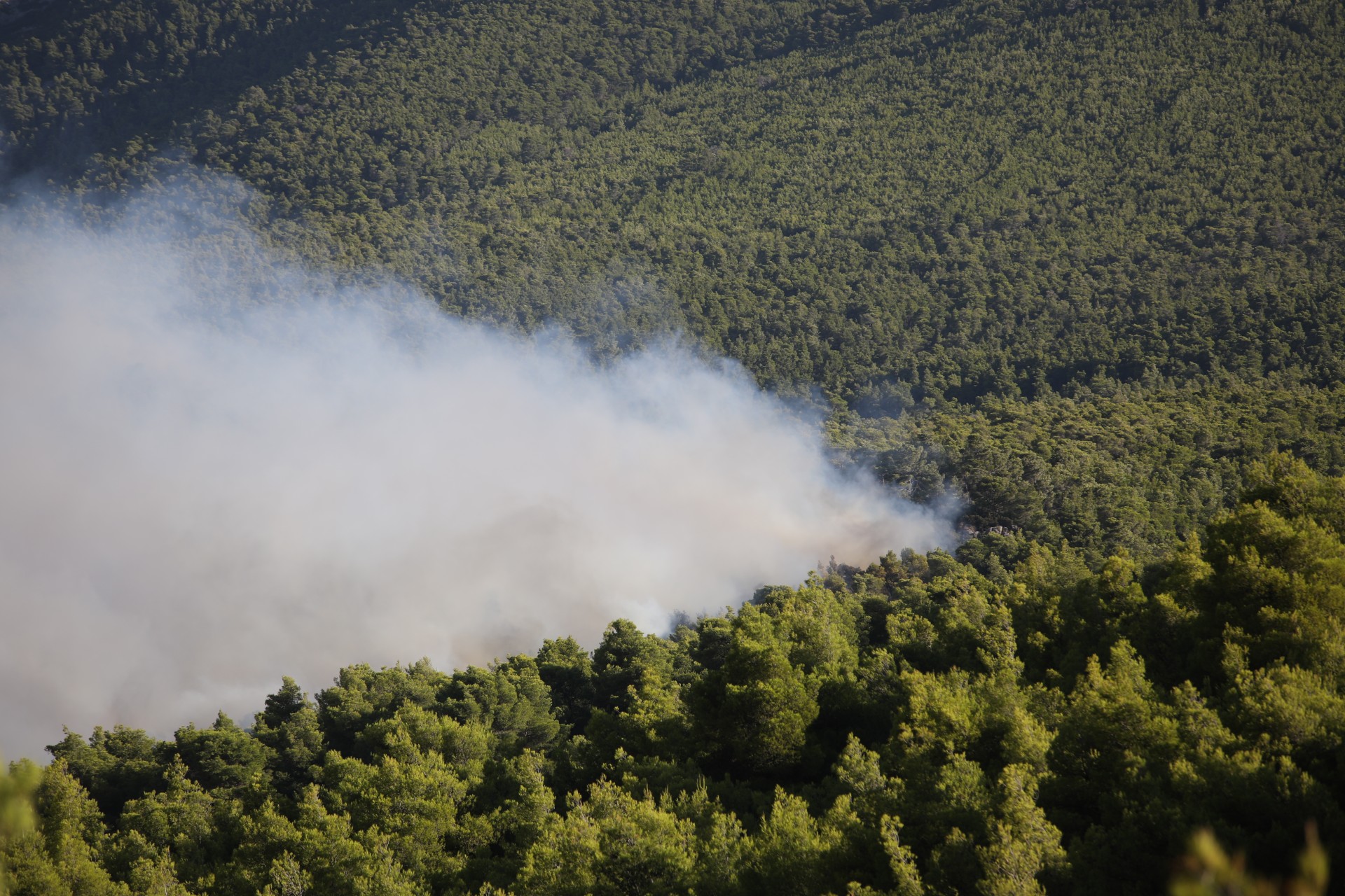 Πυρκαγιές: Ο καπνός από την Ελλάδα διένυσε πάνω από 750 χιλιόμετρα – Έφτασε στη Βόρεια Αφρική