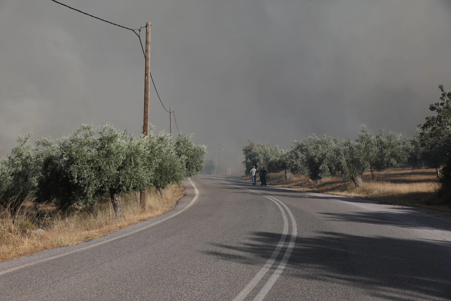Φωτιά στη Βοιωτία: Αναζωπύρωση στη Λιβαδόστρα – Μήνυμα από το 112 για εκκένωση