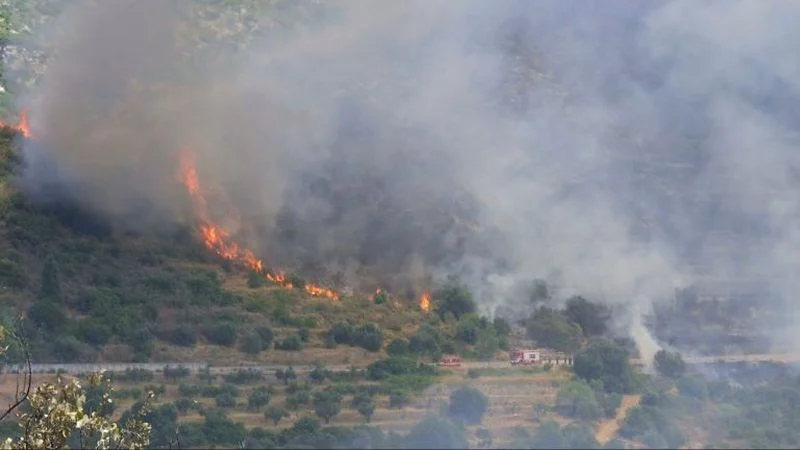 Χωρίς ενεργό μέτωπο η πυρκαγιά στην Κεφαλονιά, αλλά χωρίς ηλεκτρικό ρεύμα και νερό εδώ και 48 ώρες