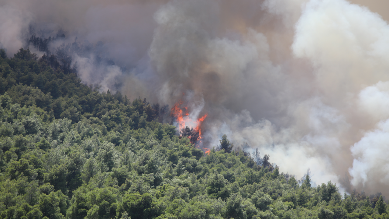 Στον εισαγγελέα οδηγούνται οι δύο συλληφθέντες για την πυρκαγιά που εκδηλώθηκε στη Βοιωτία