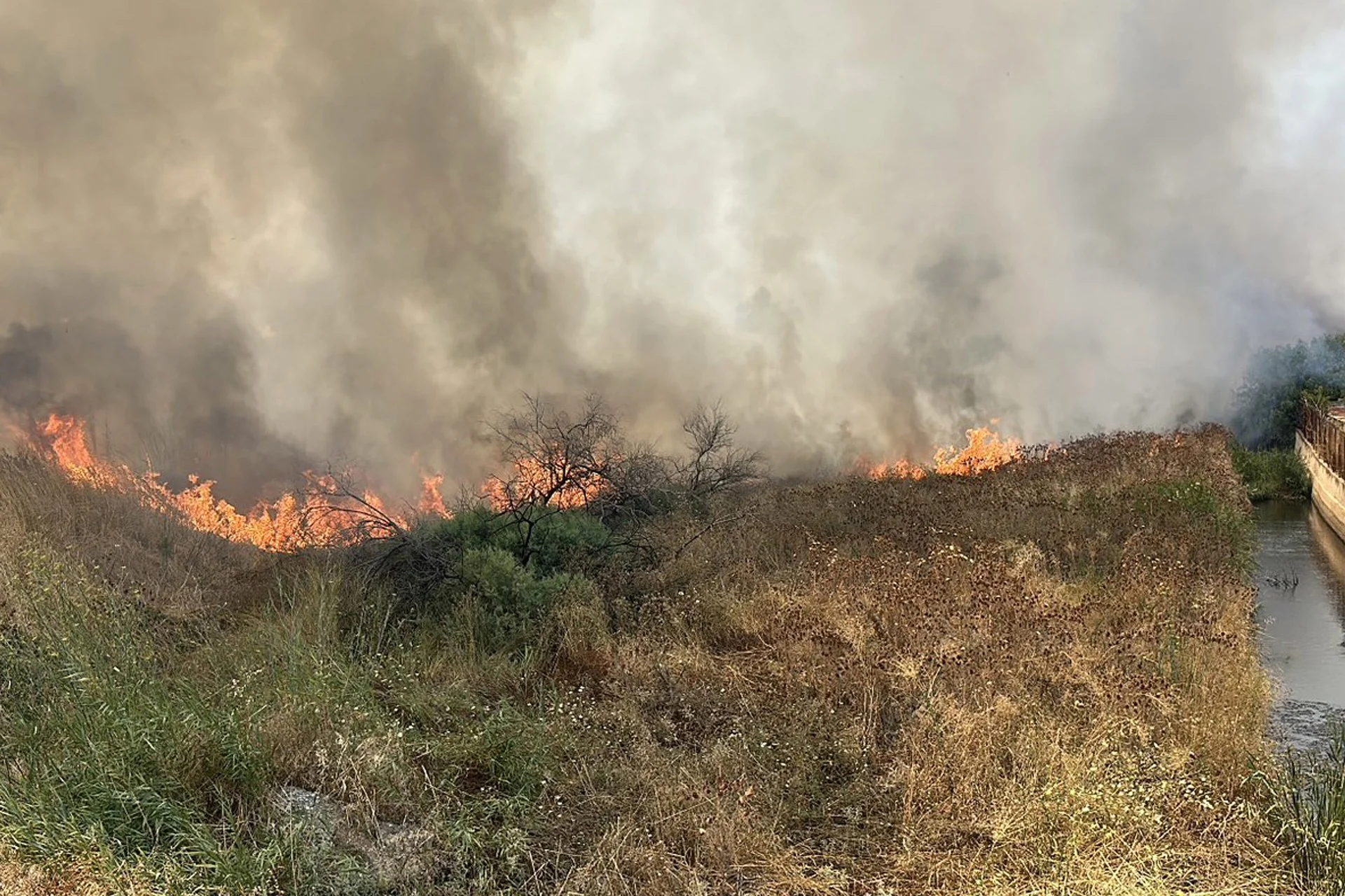 Φωτιά στην Εύβοια: Ενισχύθηκαν οι δυνάμεις κατάσβεσης στον Αετό Καρύστου