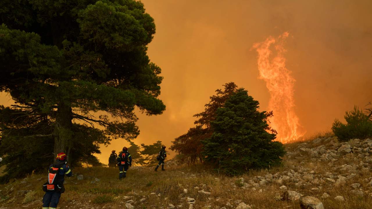 Τέταρτη νύχτα αγωνίας στη Δυτική Αττική - Μάχη με τις φλόγες σε Ψάθα και Λούμπα