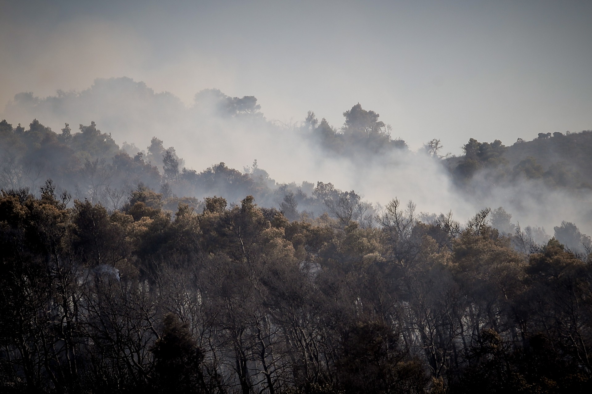Μαγνησία: Και δεύτερη πυρκαγιά