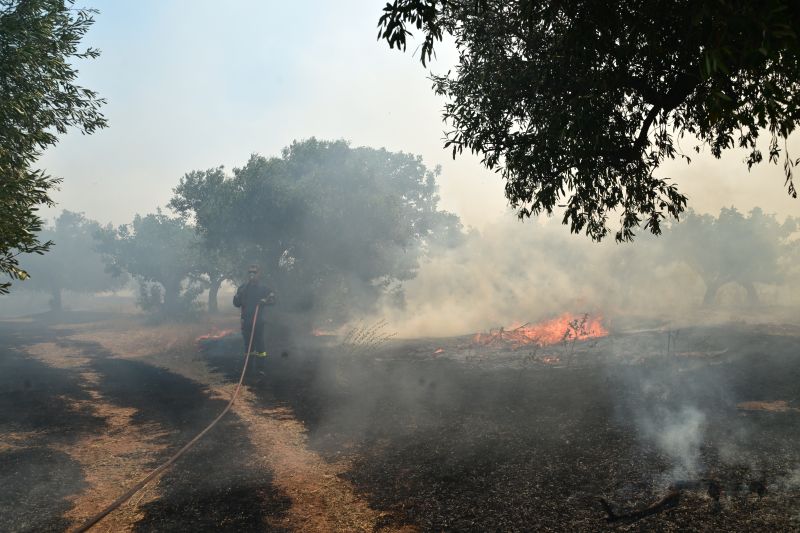 Μηνύματα του 112 για την εκκένωση των περιοχών Κανδύλι, Αγία Σκέπη και της βιομηχανικής περιοχής των Μεγάρων – Κυκλοφοριακές ρυθμίσεις