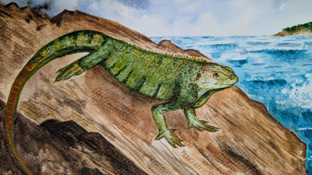 Ιγκουάνα 44 εκατομμυρίων χρόνων «ταξίδεψε» από τη δυτική Ευρώπη στη Βαλκανατολία