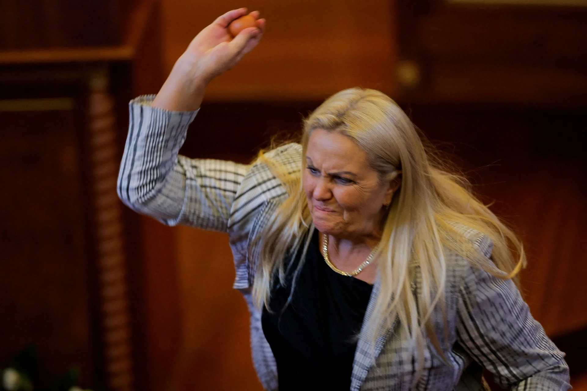 Βουλευτής της αντιπολίτευσης πέταξε αυγά στον υπηρεσιακό πρωθυπουργό (Βίντεο)