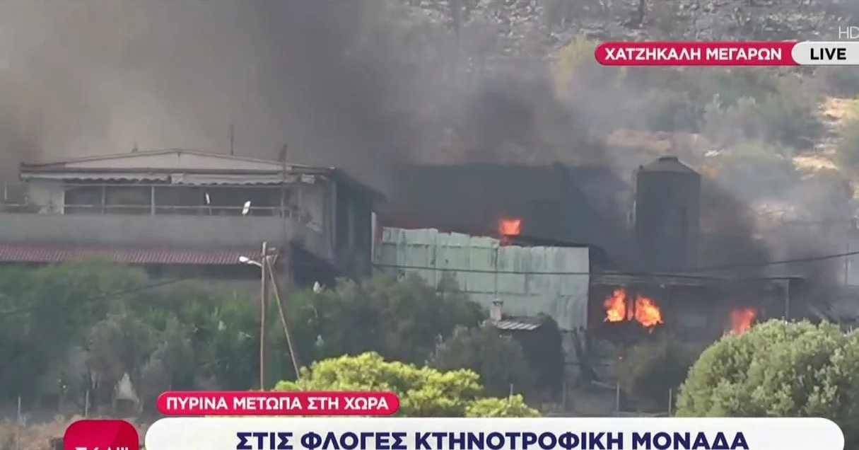 Κτηνοτροφική μονάδα παραδόθηκε στις φλόγες στα Μέγαρα (βίντεο)