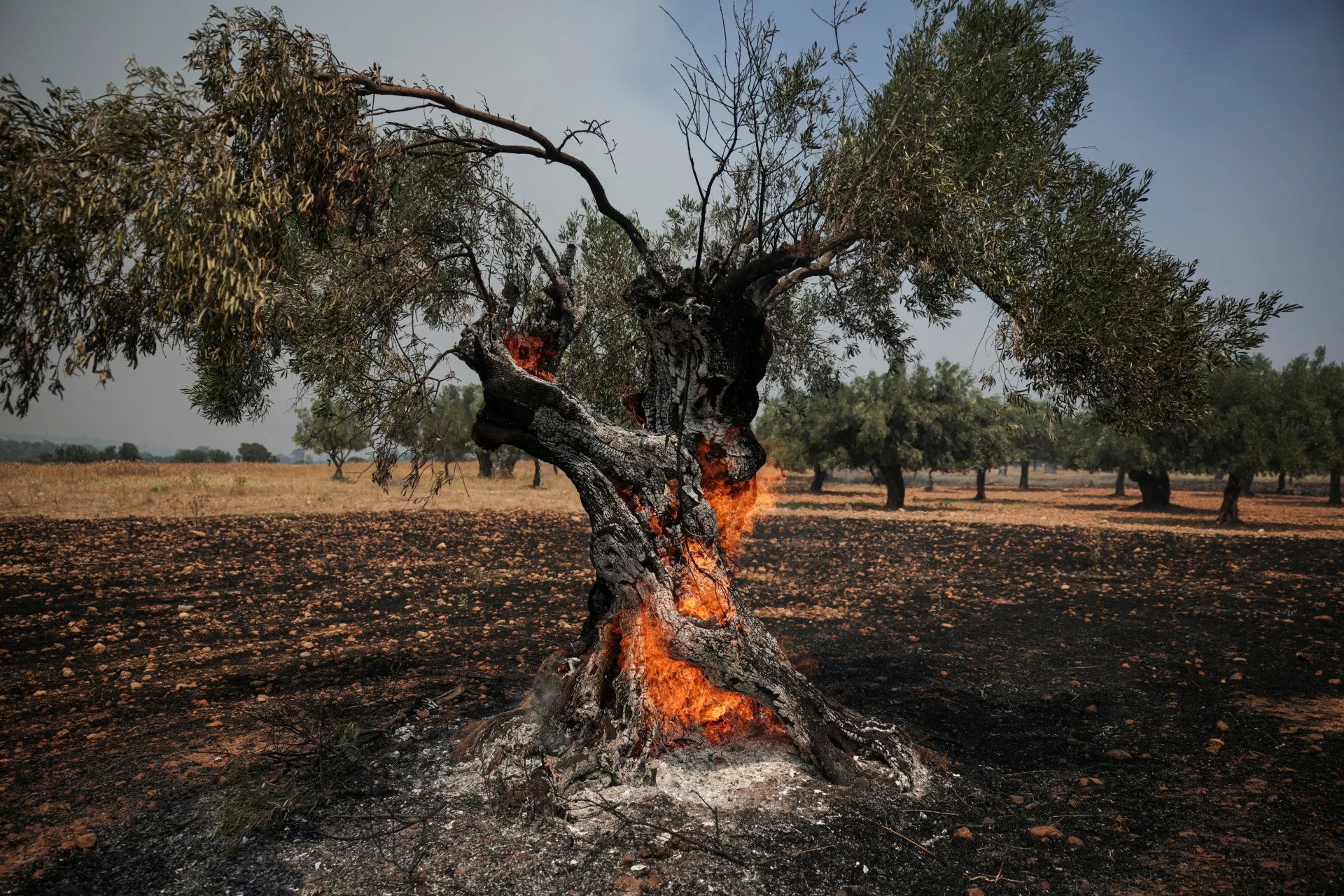 Γιατί δύο γειτονικές περιοχές με παρόμοιες καιρικές συνθήκες εμφανίζουν διαφορετικό κίνδυνο;