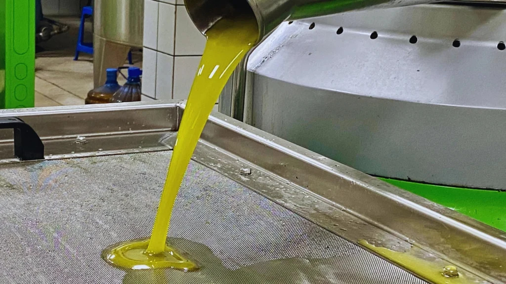 Ελαίας Καρπός