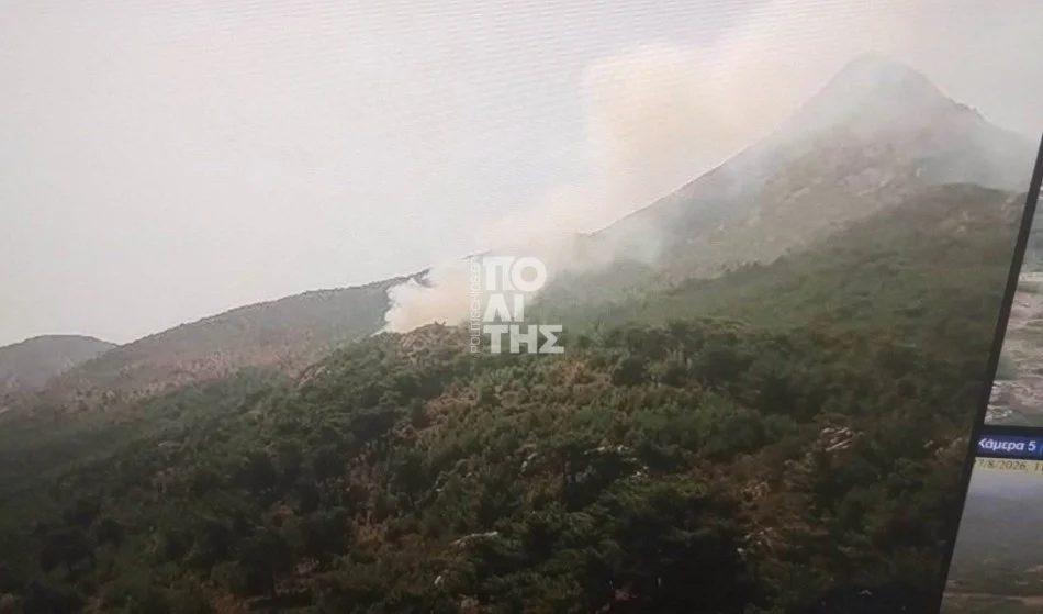 Φωτιά τώρα στο Βίκι Χίου – Σηκώθηκαν και εναέρια μέσα