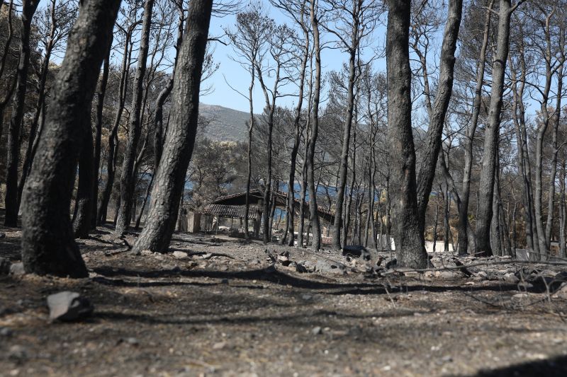 Η επόμενη ημέρα μετά τις πυρκαγιές που κατέκαψαν τη Δυτική Αττική – Τα έργα Antinero, η αποκατάσταση και η «μάχη» πριν από τις βροχές
