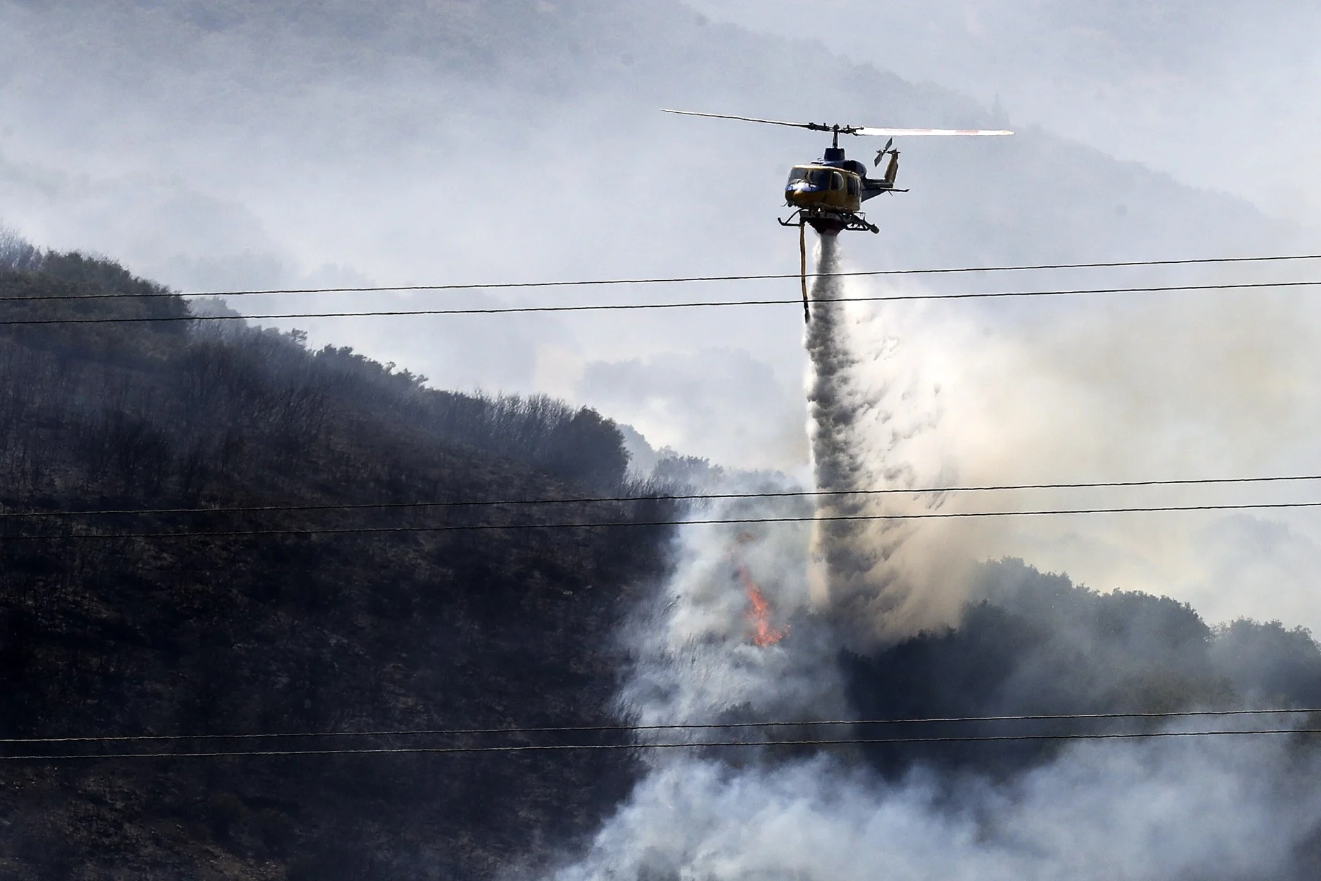 Φωτιά στη Φωκίδα: Συνεχίζεται η μάχη με τις φλόγες