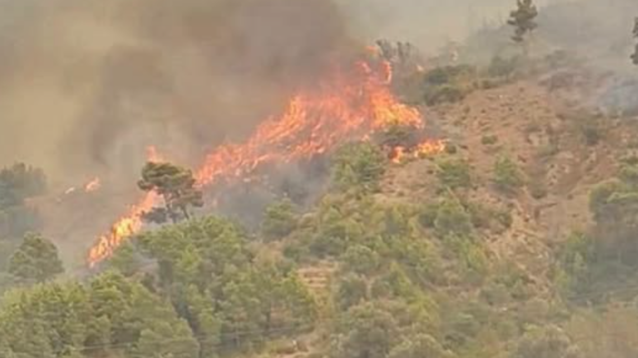Πυρκαγιές στην Αλγερία: 12 νεκροί και δεκάδες τραυματίες στο ανατολικό τμήμα της χώρας
