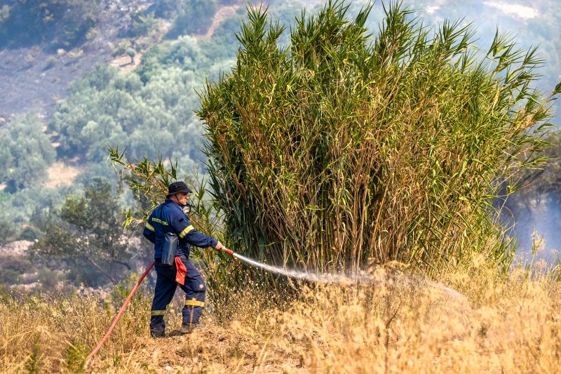 Κοπάζουν από σήμερα οι άνεμοι, δίνοντας ανάσα στις πυροσβεστικές δυνάμεις – News.gr