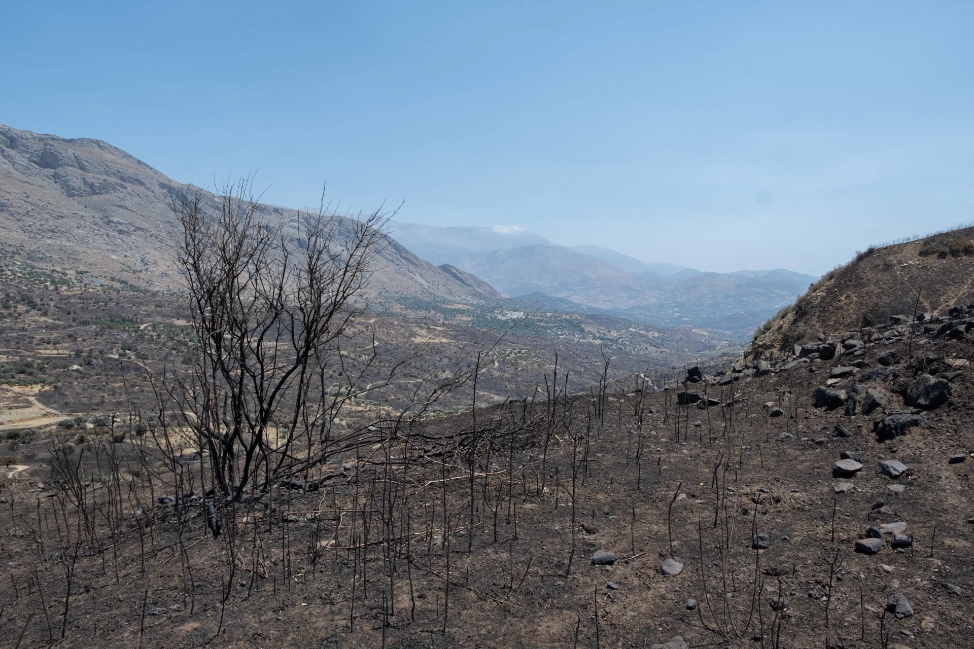 Ρέθυμνο: Ξεκινούν οι αιτήσεις για αποζημιώσεις πυρόπληκτων επιχειρήσεων