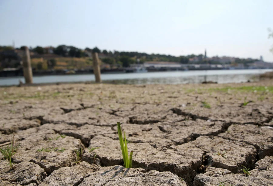 Πυρηνικός σταθμός θα μειώσει την παραγωγή του λόγω της χαμηλής στάθμης του ποταμού Σάβου